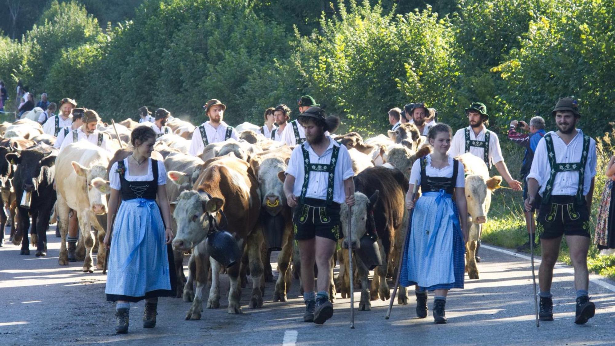 Fewo "Staufner Domizil" Oberstaufen Extérieur photo